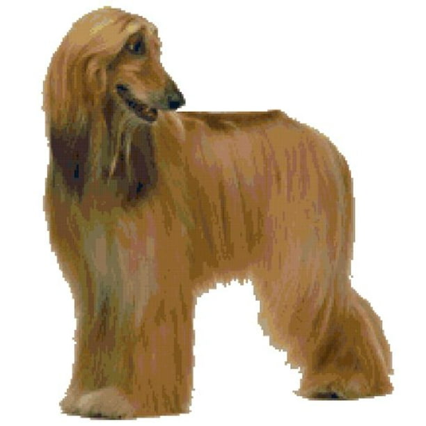 Afghan Hound Brown Dog Ornament and Thinking of You Greeting Card Afghan Hound Brown Dog Ornament and Thinking of You Greeting Card
